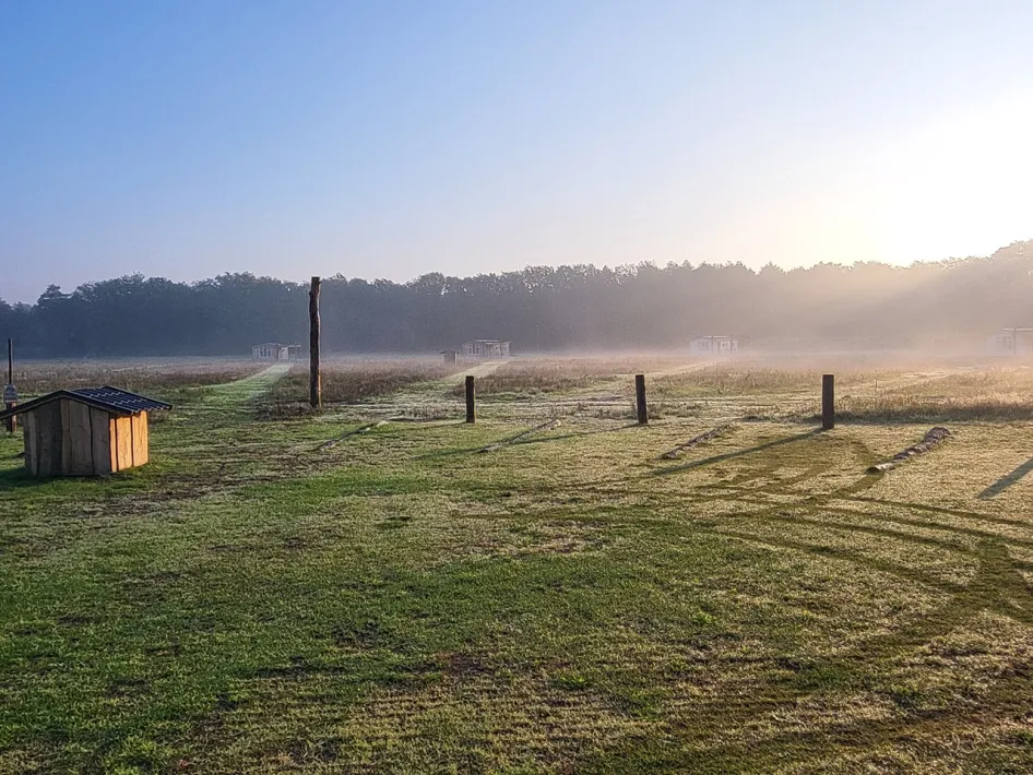 Chalets of Hoeve Twente in the morning mist