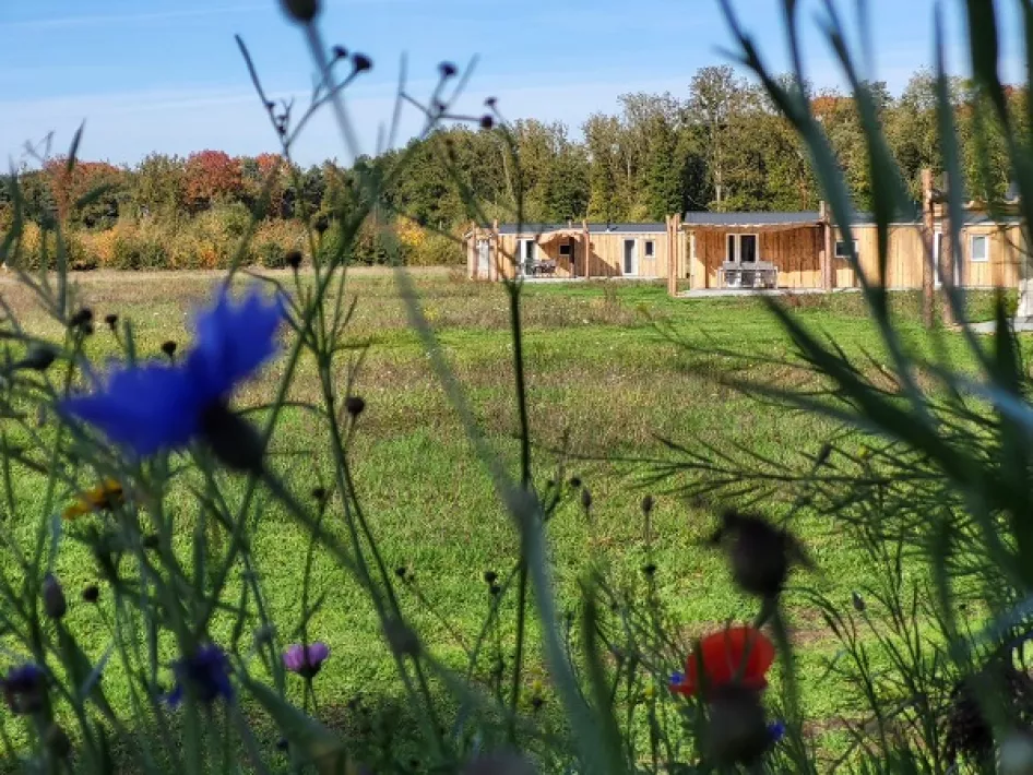 Wohnmobilstellplatz Hoeve Twente