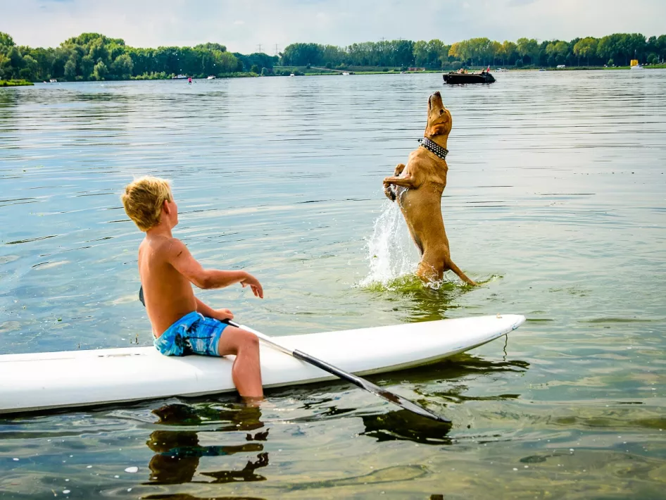 Jongen zit op een surfplank terwijl zijn hond in het water speelt bij het hondenstrand van Area X: Doggy Beach