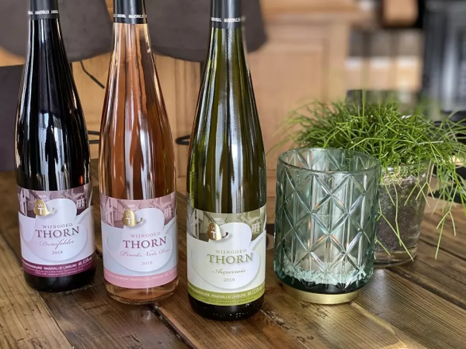 Die Weine von Wijngoed Thorn sind hier erhältlich
