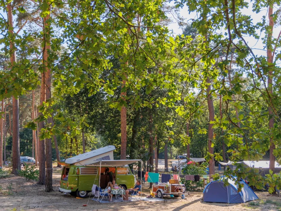 Groen camperbusje op een schaduwrijke kampeerplek in het bos, met tent en stoelen rondom