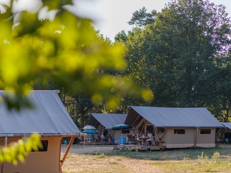 Glampingtenten op een open veld met gezinnen op het terras en bomen op de achtergrond