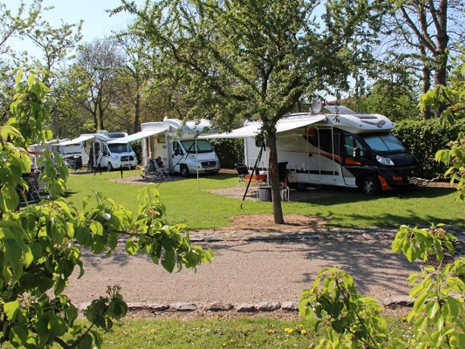 Camping site Sangershoeve