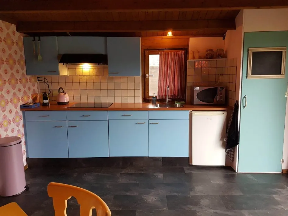 Retro blauwe keuken in vakantiehuisje De Luiaard met inductiekookplaat, magnetron en vrolijk behang.