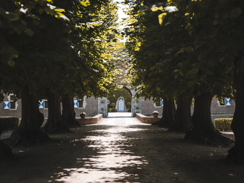 Een met bomen omzoomd pad leidt naar de toegangspoort van Kasteel Hillenraad, met zonlicht dat tussen het bladerdak doorschijnt en het historische gebouw zichtbaar op de achtergrond.