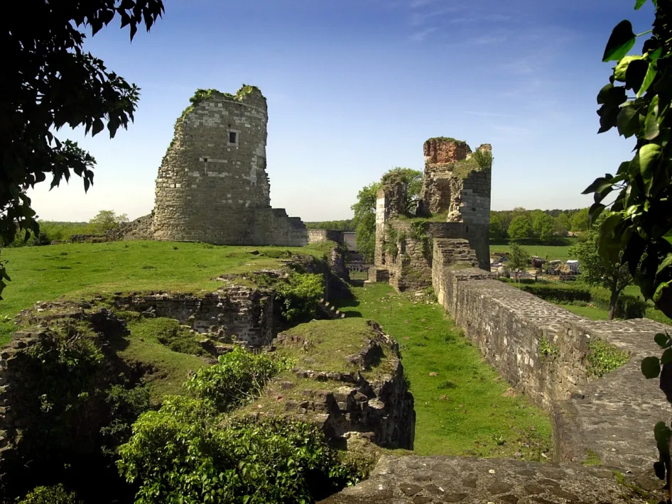 Dag van het Kasteel in Montfort