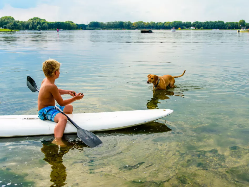 Kind op een kano en hond in het water