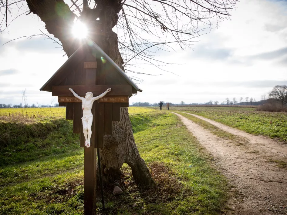 Zon schijnt door de takken van een boom waar een kruis voorstaat (foto: ©Kristel Fotografie Thorn)