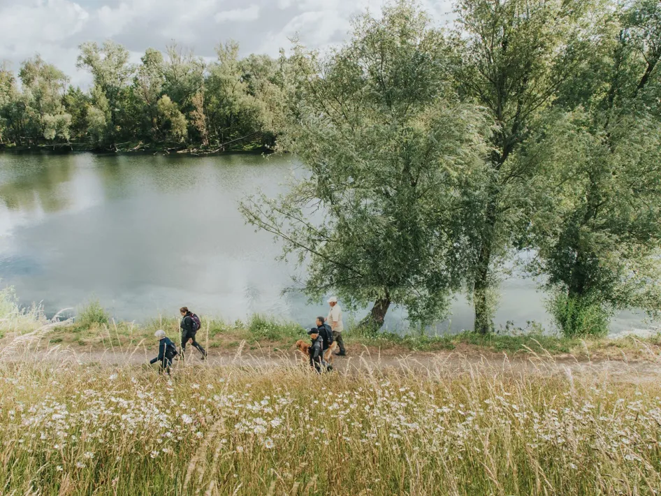 Wandelaars op een pad langs de Maas tussen graslanden tijdens de LAW RivierPark Maasvallei.