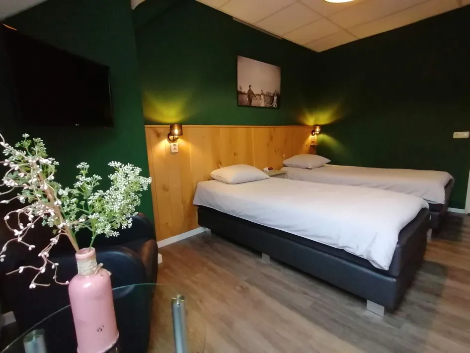 Double room with wooden accents, dark green walls, television and modern furnishings.