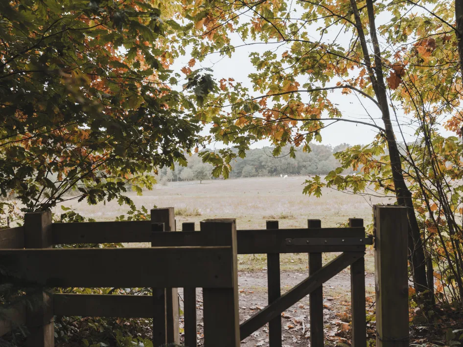 Landgut De Bedelaar natur