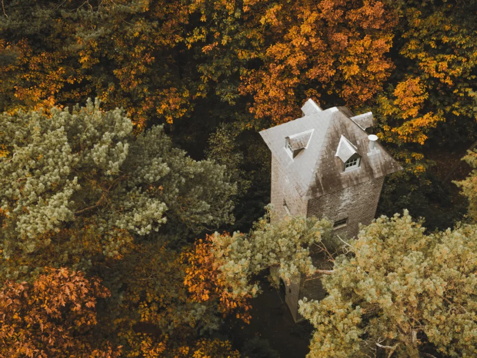 De Uilentoren van Professor Dubois op Landgoed de Bedelaar