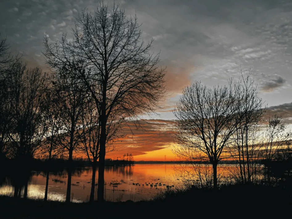 Struinen door Asselt & De Weerd Zonsondergang Asseltse Plassen