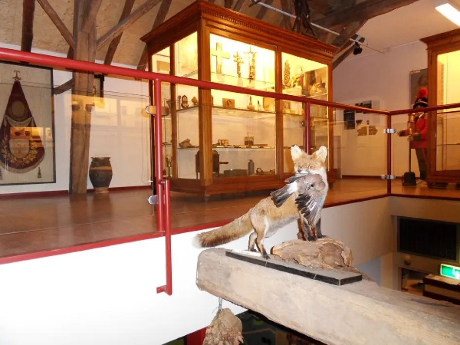 Berittener Fuchs im Museum von Leudal