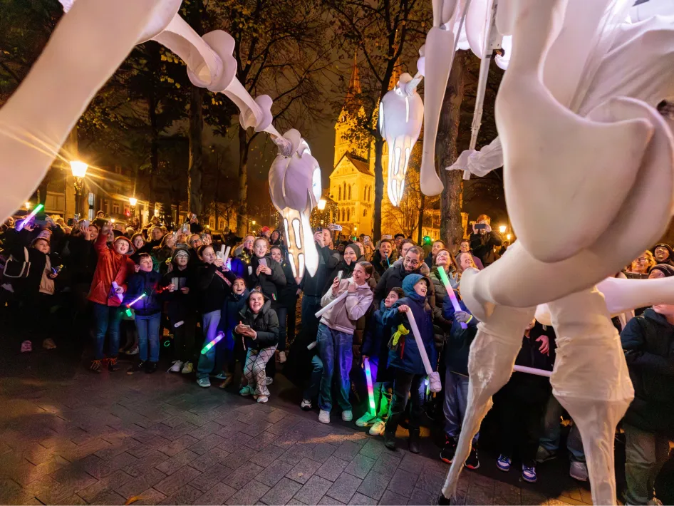 Lichtparade ROERMONDVOL licht