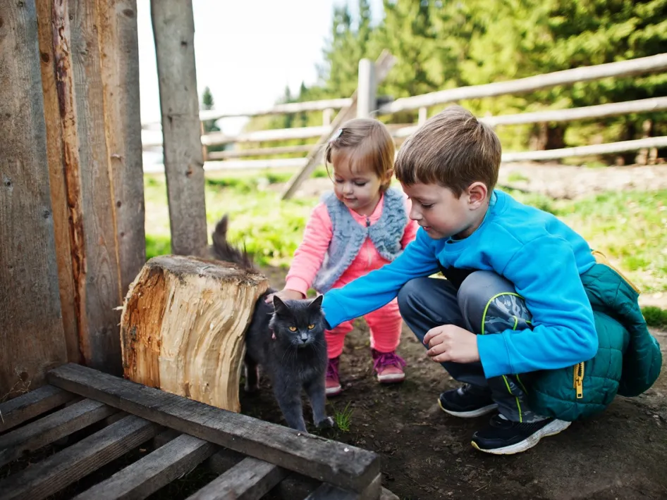 Twee kinderen aaien een boerderijkat tijdens Loeren bij de Boeren, op een erf met houten hek en bomen.