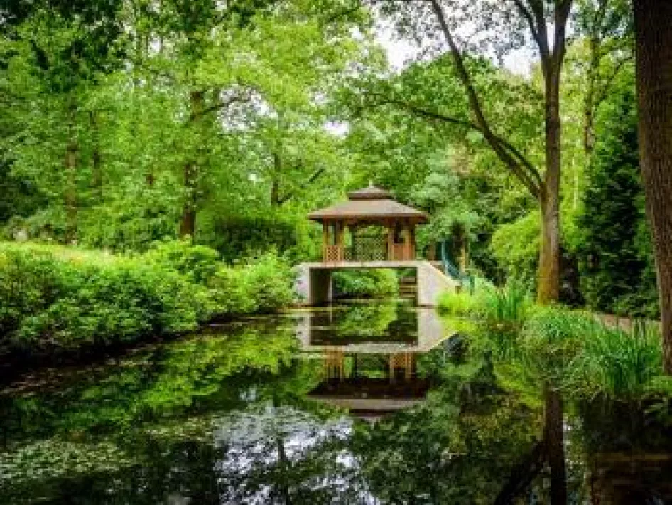 Glücksplatz 15 im Waldpark des MERU