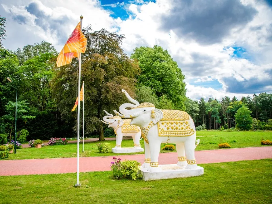 De olifanten van de MERU