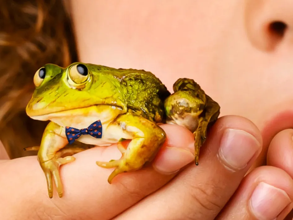 Groene kikker met een blauw strikje uit de musical Meester Kikker zit op iemands vingers, met het gezicht van een kind op de achtergrond.