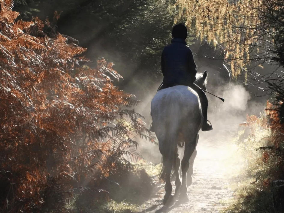 Ruiter-Menroute De Meinweg-Oost
