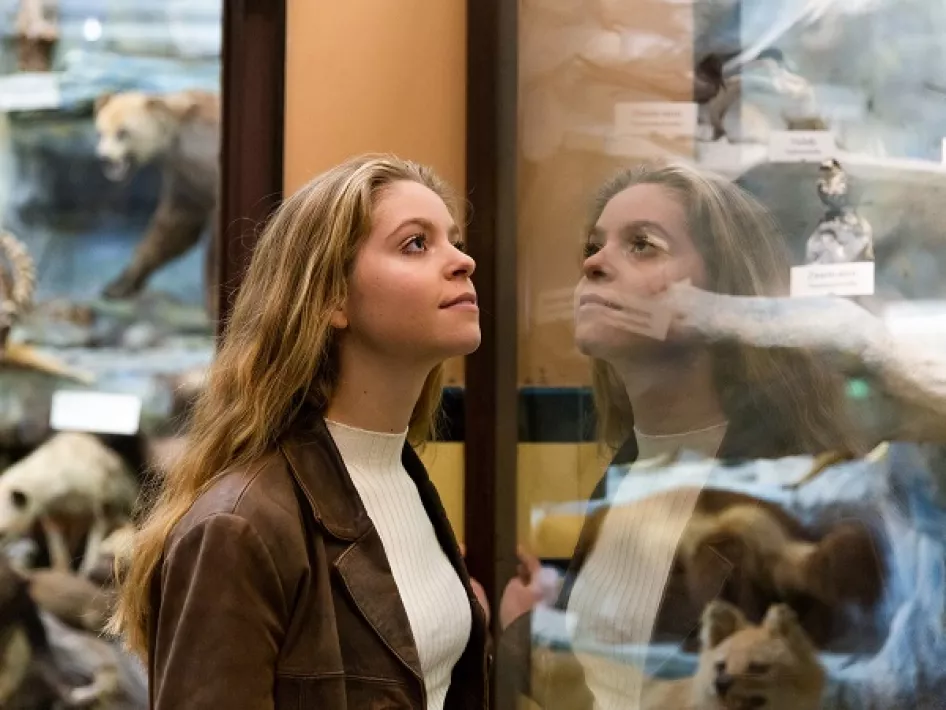 Kijken naar de collectie van het Missiemuseum