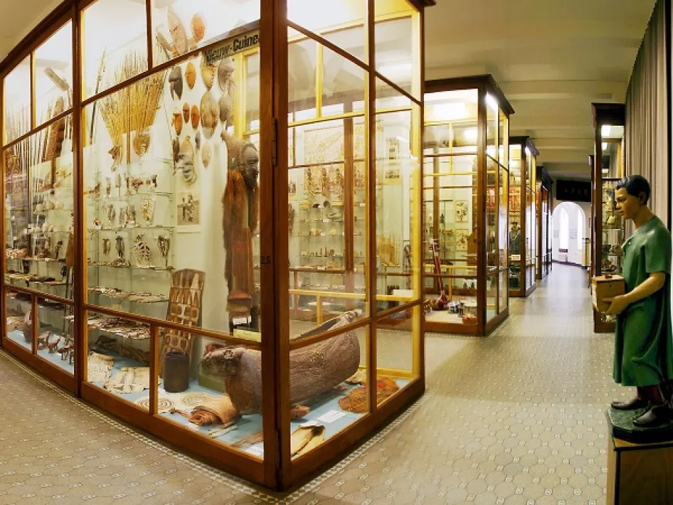 The showcases of Missiemuseum Steyl