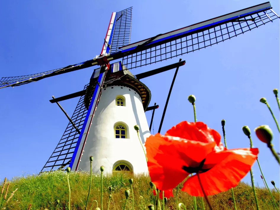 Asperges en Molens Weert-Nederweert