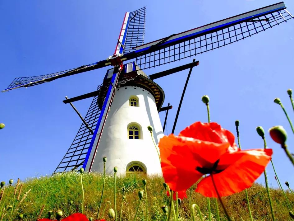 Die Mühle Sint Anna in Keent, eine der Mühlen des MolenNetwerk KempenBroek