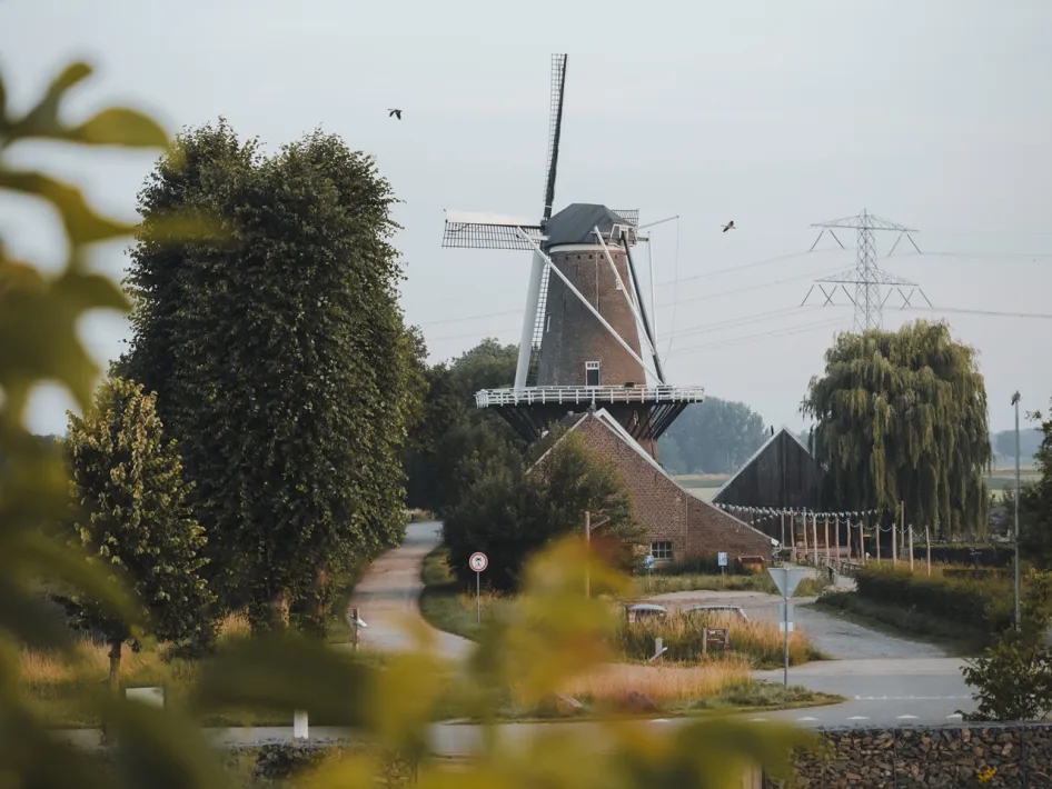 Hompesche Molen in Stevensweert an einer ruhigen Straße zwischen Bäumen und Feldern