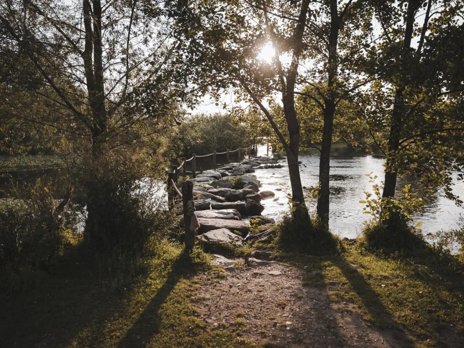 Stepping stones at the Molenplas across flowing water with sunlight filtering through the trees and views of the green banks