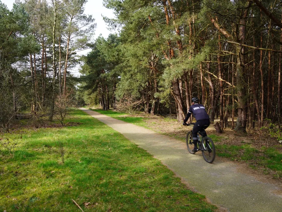 Mountainbiker op de Mountainbikeroute Weert, op een verhard pad door een bosrijke omgeving.