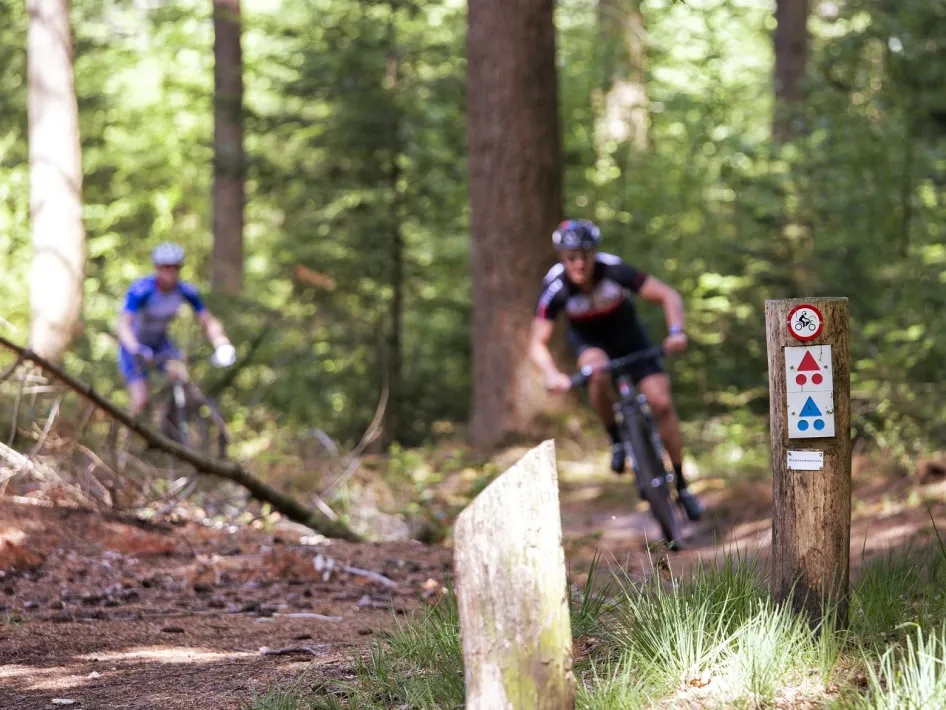 Mountain bikers in action on the Mountain bike route Montfort