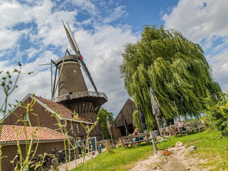 De Hompesche Molen in Stevensweert, geopend tijdens de Nationale Molendag,  met terras, picknickbanken en een grote treurwilg onder een blauwe lucht met wolken.