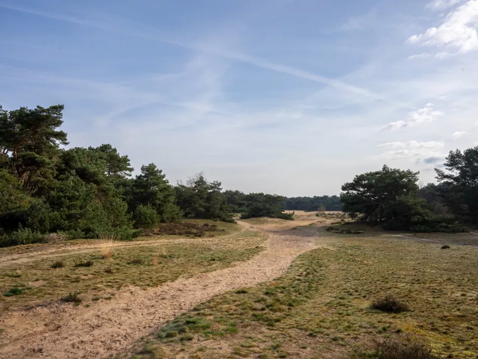 Natuurgebied Boshoverheide