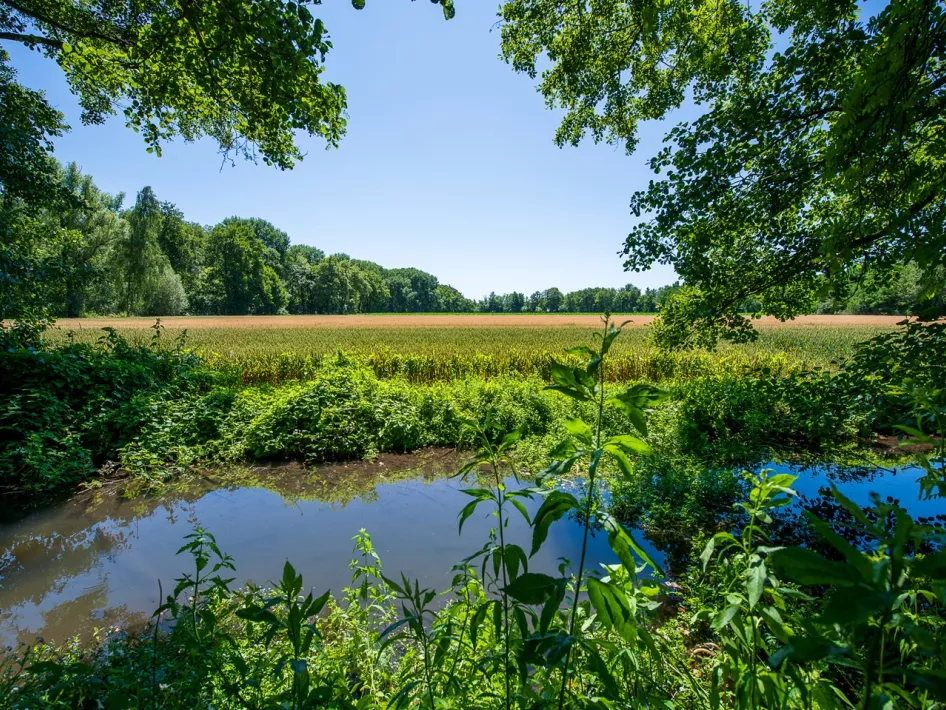 Een prachtige ven op een zomerdag in De IJzeren man