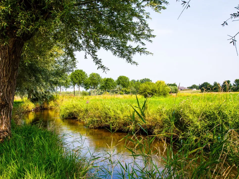 Natuurgebied Swalmen