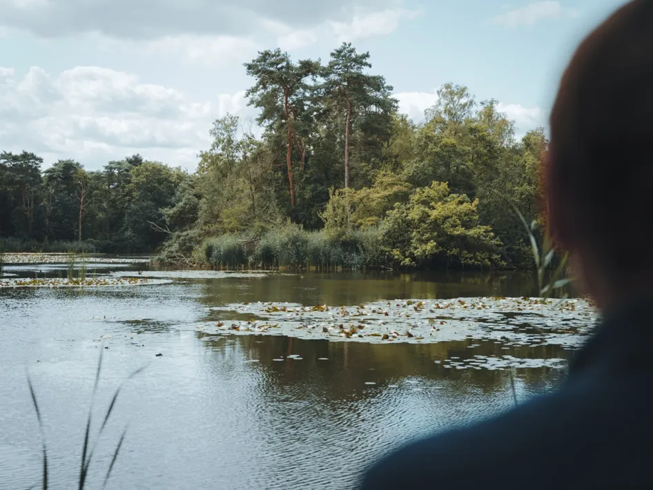 Wasserfläche mit Seerosen und einem bewaldeten Ufer bei De IJzeren Man im KempenBroek.