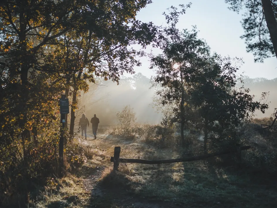 Twee wandelaars op een bospad tussen de bomen, met zonnestralen door de ochtendnevel in het Weerterbos.