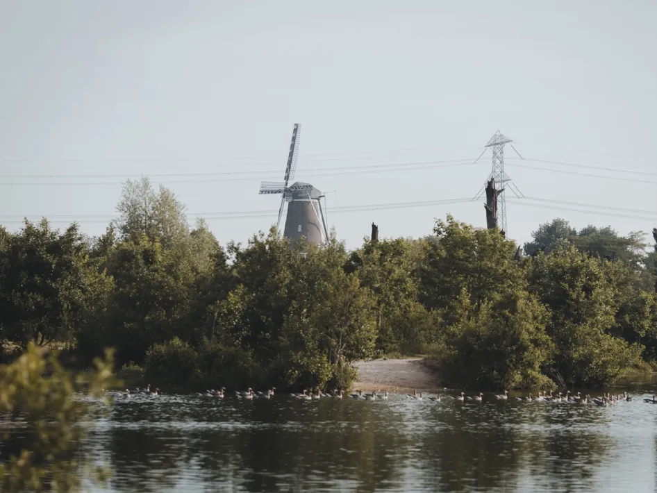 Hompesche Molen hinter Grün und Wasser in einem Naturgebiet von Natuurmonumenten.