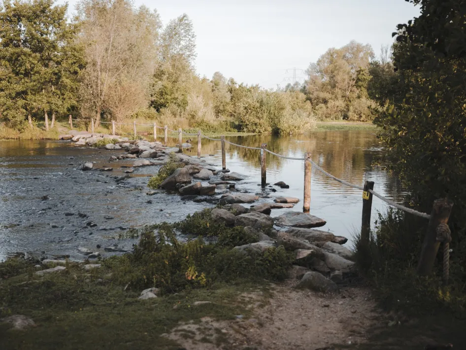 Trittsteine mit Seil entlang fließenden Wassers in einem grünen Naturgebiet.