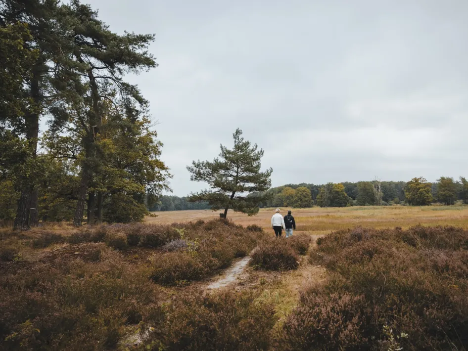 Twee wandelaars lopen over een smal pad door het Weerterbos.