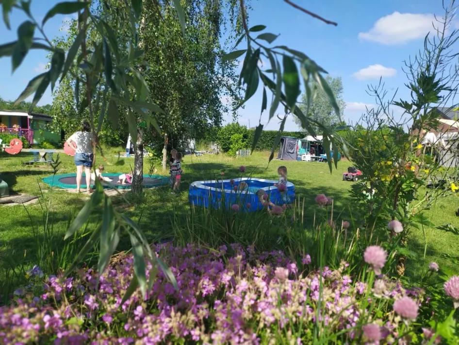Kinderen spelen in een groene buitenspeeltuin met trampoline en opblaasbadje, omringd door bloeiende bloemen en bomen op een zonnige dag.
