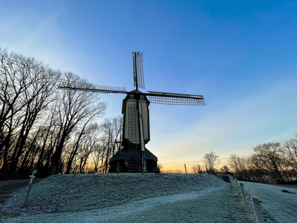 Molen vorst