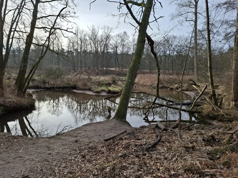 Rustige bocht van de Leubeek, een beeld uit de film ontdekkingstocht Leudal, met kale bomen en spiegelend water in het beekdal.