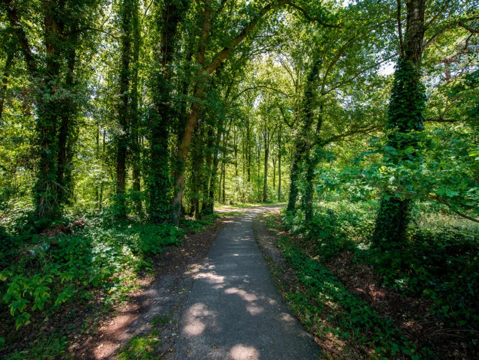 Partner route: Hiking tour Hotel Rosveld