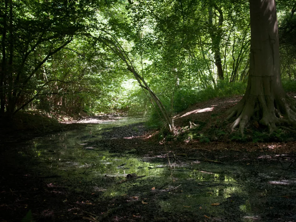 Nature Walk: Roerdalen - De Meinweg: St. Ludwigroute