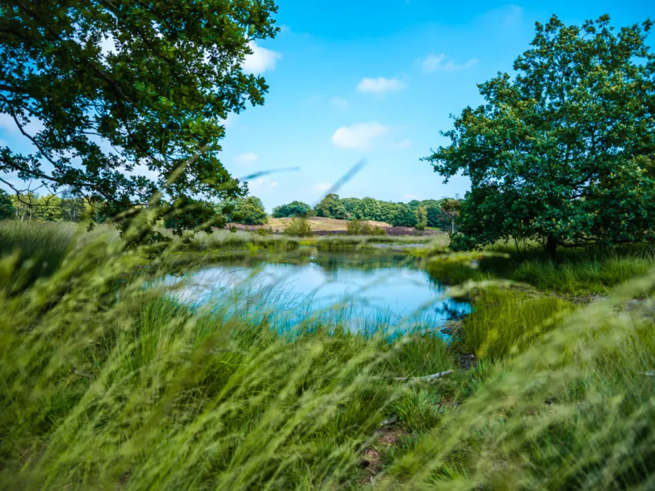 Wandelroute Roerdalen: De Meinweg - Melicker Venroute
