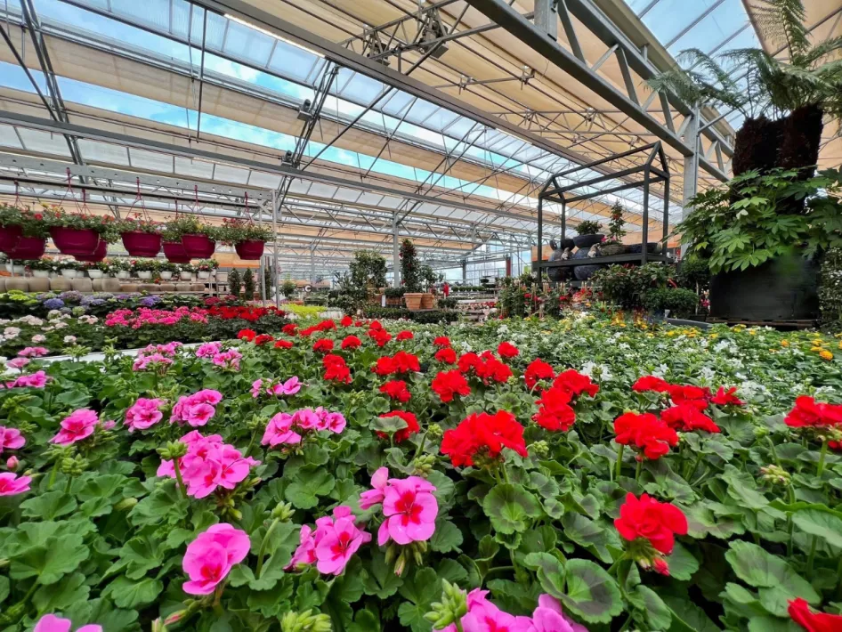 Tuincentrum Daniëls