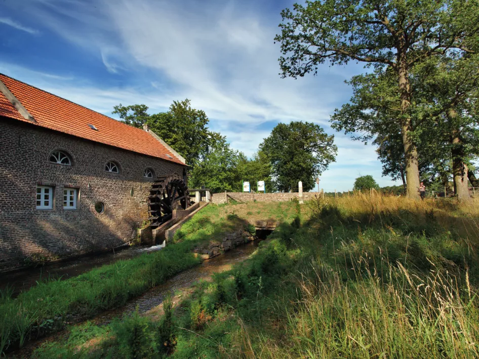 Gelukswandeling Grenzeloos Op Pad