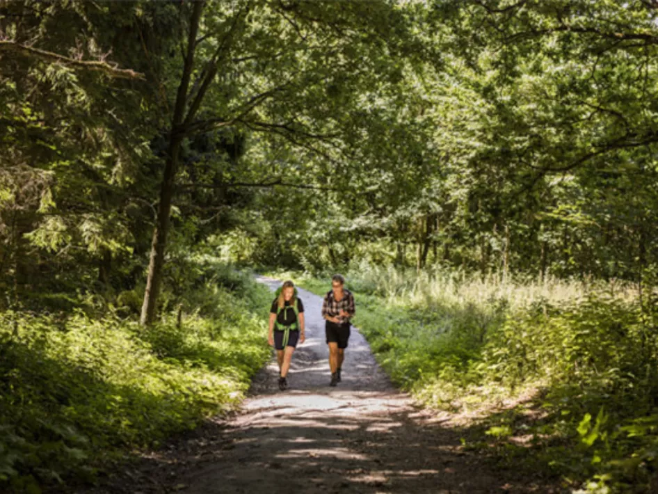 Partnerroute: Wandertour Rondmeer